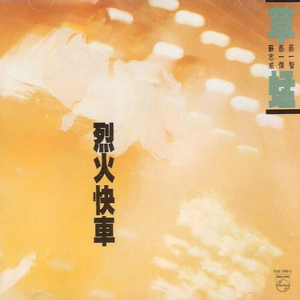 A级成人毛片视频
