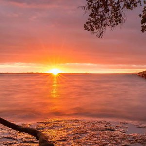 A级成人毛片视频
