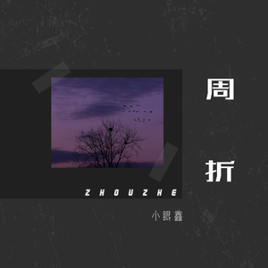 A级成人毛片视频
