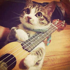 A级成人毛片视频
